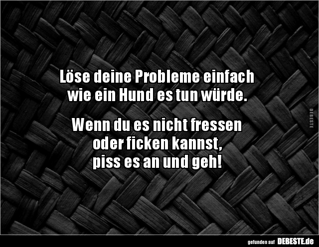Löse deine Probleme einfach wie ein Hund es tun.. - Lustige Bilder | DEBESTE.de