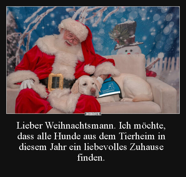 Lieber Weihnachtsmann. Ich möchte, dass alle Hunde aus dem.. - Lustige Bilder | DEBESTE.de