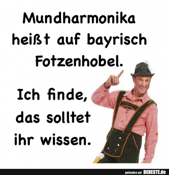 Mundharmonika heißt auf bayrisch Fotzenhobel.. - Lustige Bilder | DEBESTE.de