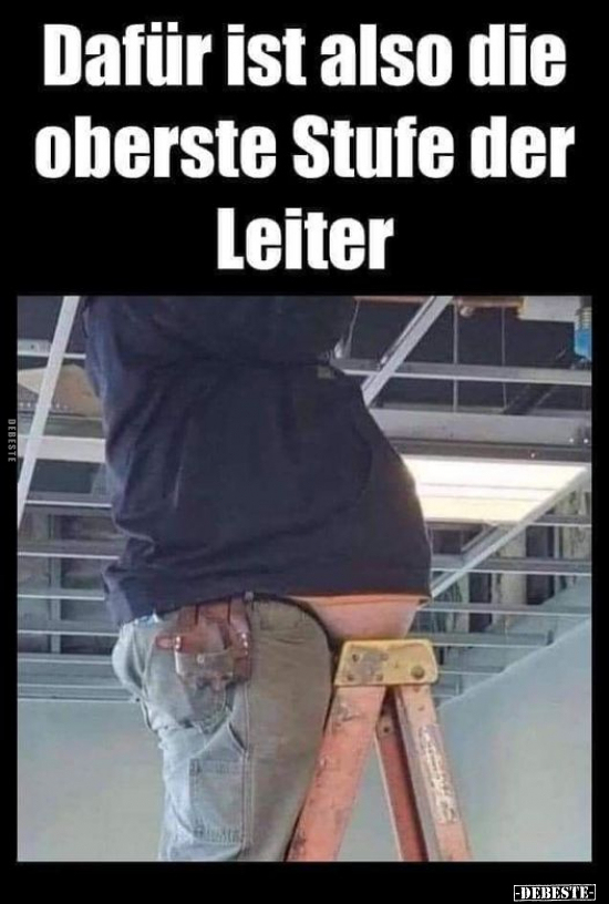 Dafür ist also die oberste Stufe der Leiter... - Lustige Bilder | DEBESTE.de