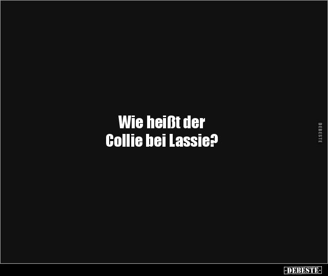 Wie heißt der Collie bei Lassie?.. - Lustige Bilder | DEBESTE.de