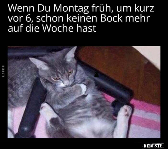 Wenn Du Montag früh um kurz vor 6 schon keinen Bock mehr auf