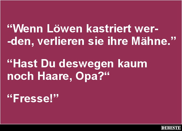 Wenn Löwen kastriert werden, verlieren sie ihre Mähne.. - Lustige Bilder | DEBESTE.de
