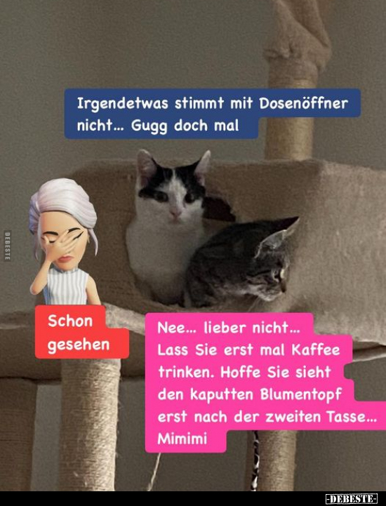 Irgendetwas stimmt mit Dosenöffner nicht... - Lustige Bilder | DEBESTE.de