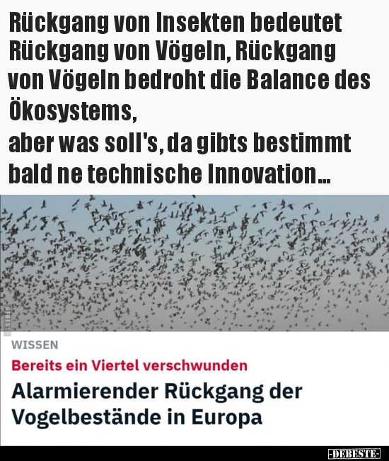 Rückgang von Insekten bedeutet Rückgang von Vögeln.. - Lustige Bilder | DEBESTE.de