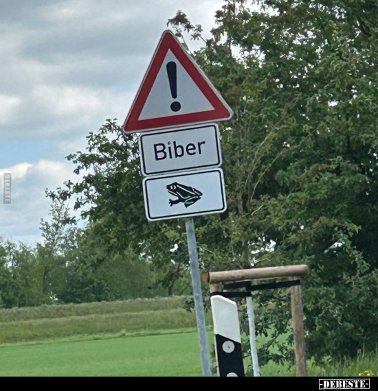 Biber!.. - Lustige Bilder | DEBESTE.de