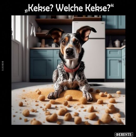 "Kekse? Welche Kekse?".. - Lustige Bilder | DEBESTE.de