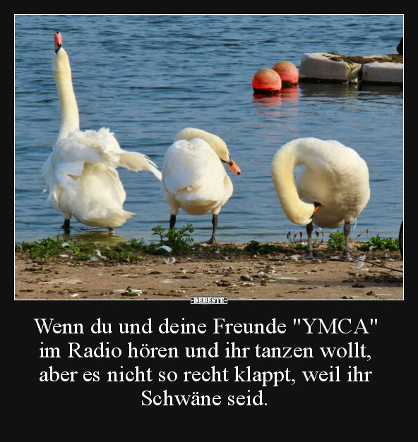Wenn du und deine Freunde "YMCA" im Radio hören und ihr.. - Lustige Bilder | DEBESTE.de