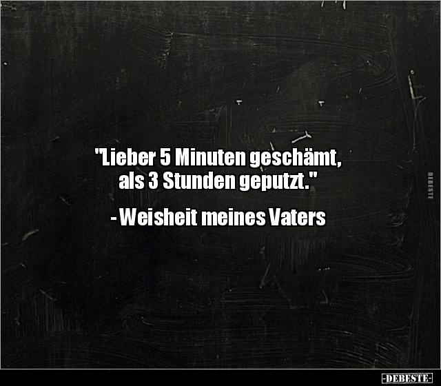 "Lieber 5 Minuten geschämt, als 3 Stunden geputzt.".. - Lustige Bilder | DEBESTE.de
