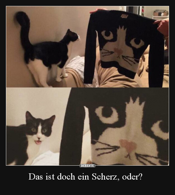 Das ist doch ein Scherz, oder?.. - Lustige Bilder | DEBESTE.de