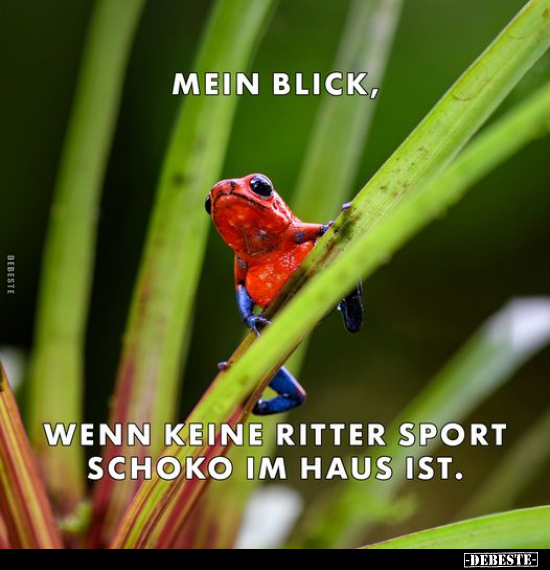 Mein Blick, wenn keine Ritter Sport Schoko im Haus ist... - Lustige Bilder | DEBESTE.de