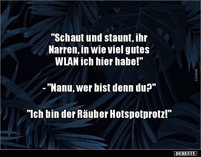 "Schaut und staunt, ihr Narren, in wie viel gutes WLAN.." - Lustige Bilder | DEBESTE.de