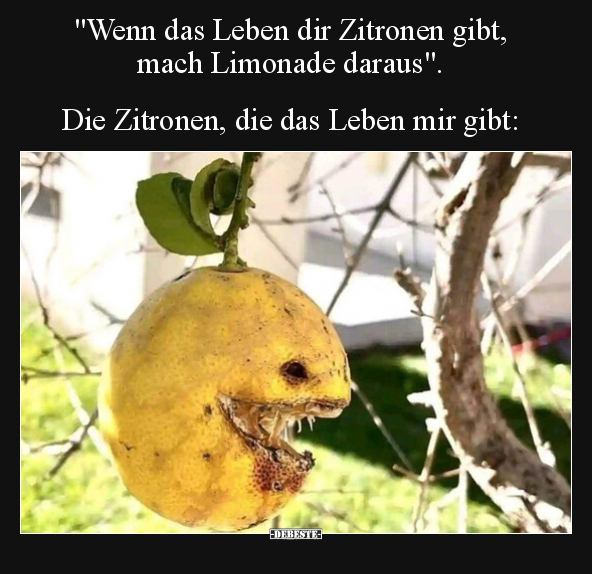 "Wenn das Leben dir Zitronen gibt, mach Limonade daraus"... - Lustige Bilder | DEBESTE.de