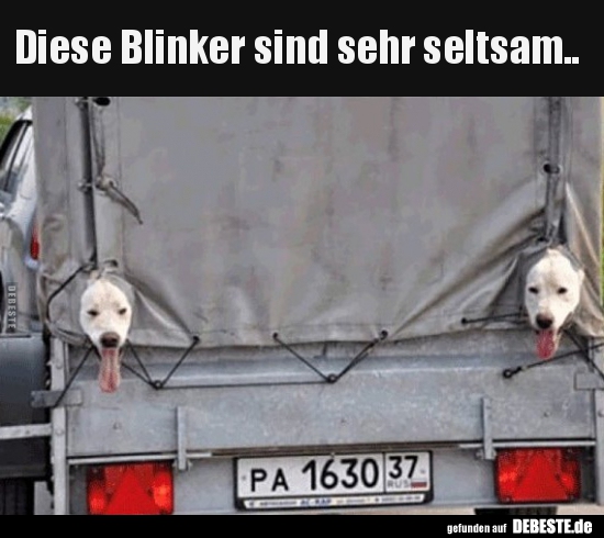 Diese Blinker sind sehr seltsam.. - Lustige Bilder | DEBESTE.de