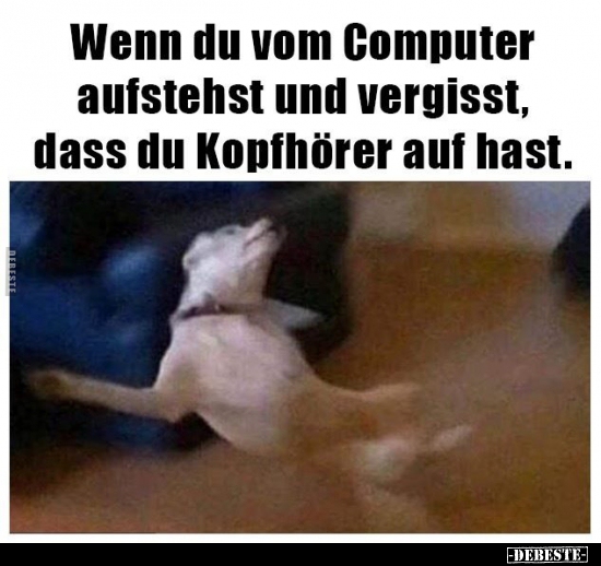 Wenn du vom Computer aufstehst und vergisst, dass du.. - Lustige Bilder | DEBESTE.de