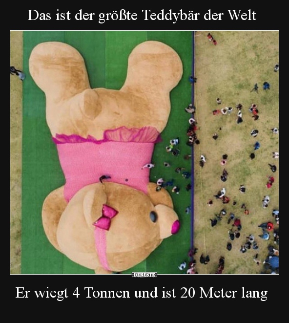 Das ist der größte Teddybär der Welt.. - Lustige Bilder | DEBESTE.de