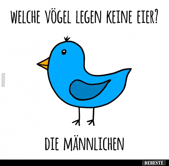 Welche Vögel legen keine Eier.. - Lustige Bilder | DEBESTE.de