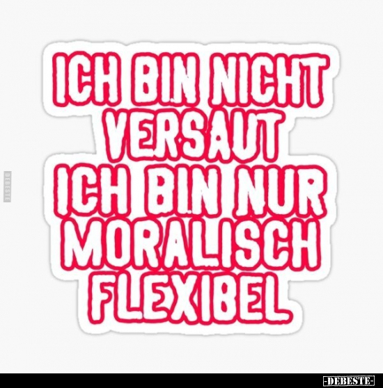 Ich bin nicht versaut, ich bin nur moralisch flexibel... - Lustige Bilder | DEBESTE.de