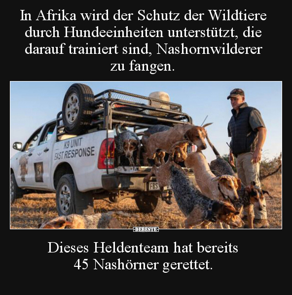 In Afrika wird der Schutz der Wildtiere durch.. - Lustige Bilder | DEBESTE.de