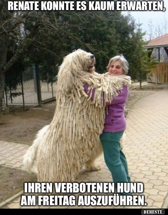 Renate konnte es kaum erwarten, ihren verbotenen Hund am.. - Lustige Bilder | DEBESTE.de