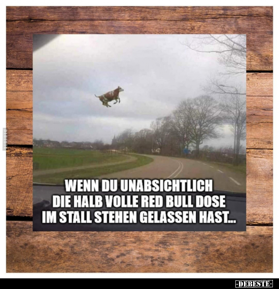 Wenn du unabsichtlich die halb volle Red Bull Dose.. - Lustige Bilder | DEBESTE.de