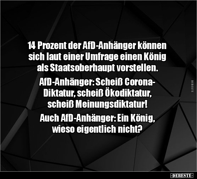14 Prozent der AfD-Anhänger können sich laut einer Umfrage.. - Lustige Bilder | DEBESTE.de
