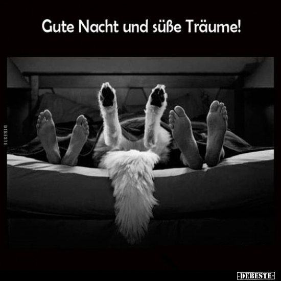 Gute Nacht und süße Träume!.. - Lustige Bilder | DEBESTE.de