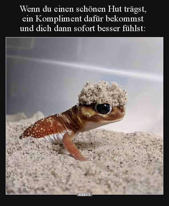 Wenn du einen schönen Hut trägst, ein Kompliment dafür.. - Lustige Bilder | DEBESTE.de