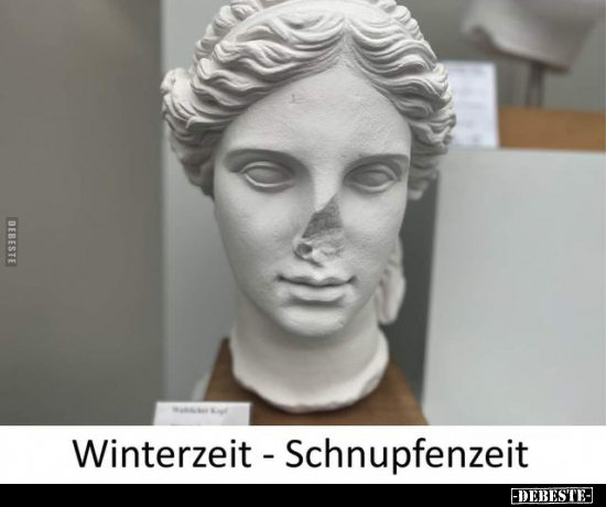 Winterzeit - Schnupfenzeit.. - Lustige Bilder | DEBESTE.de