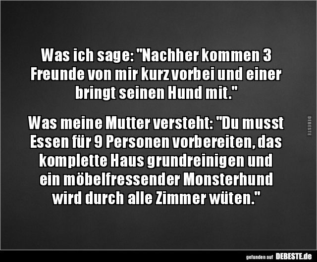 Was ich sage: "Nachher kommen 3 Freunde von mir kurz.." - Lustige Bilder | DEBESTE.de
