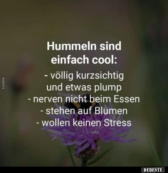 Hummeln sind einfach cool.. - Lustige Bilder | DEBESTE.de