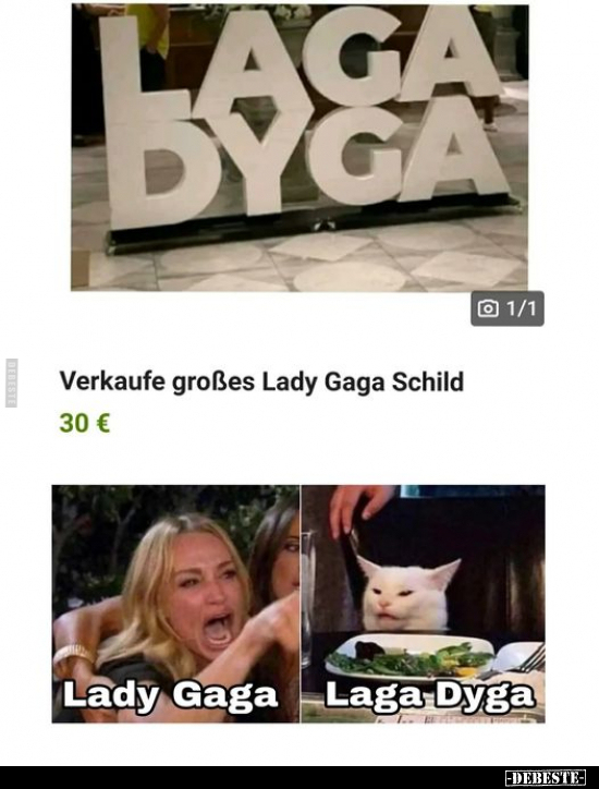 Verkaufe großes Lady Gaga Schild.. - Lustige Bilder | DEBESTE.de