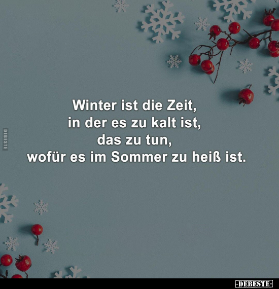 Winter ist die Zeit, in der es zu kalt ist, das zu tun.. - Lustige Bilder | DEBESTE.de
