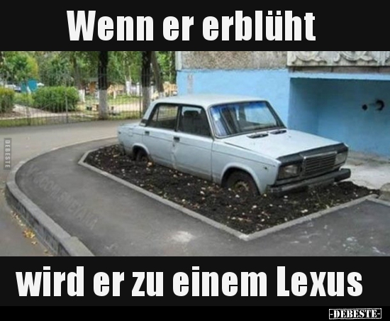 Wenn er erblüht wird er zu einem Lexus.. - Lustige Bilder | DEBESTE.de