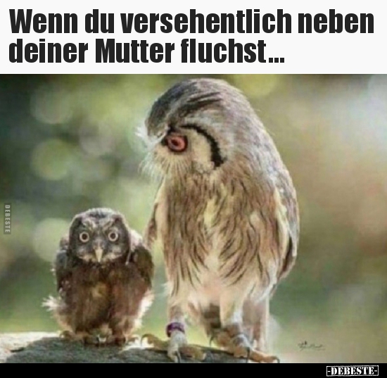 Wenn du versehentlich neben deiner Mutter fluchst... - Lustige Bilder | DEBESTE.de