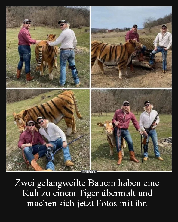 Zwei gelangweilte Bauern haben eine Kuh zu einem Tiger.. - Lustige Bilder | DEBESTE.de