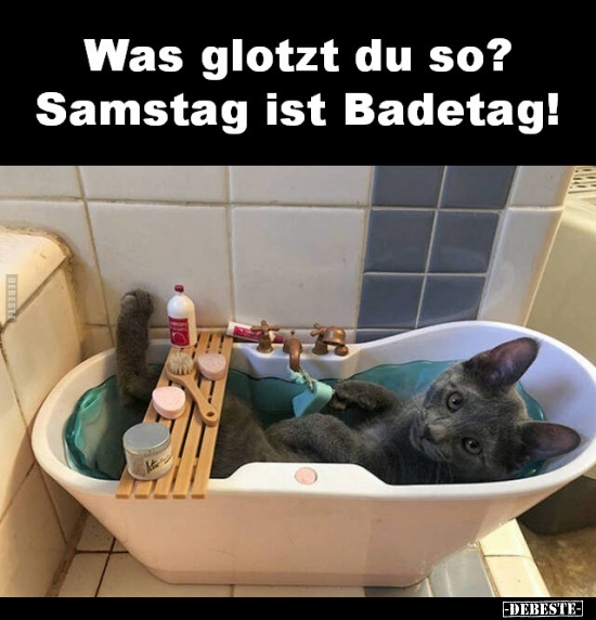 Was glotzt du so? Samstag ist Badetag!.. - Lustige Bilder | DEBESTE.de