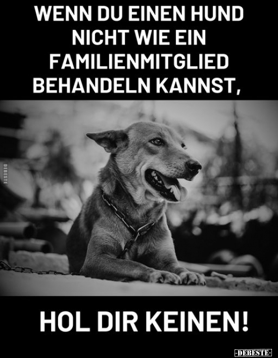 Wenn du einen Hund nicht wie ein Familienmitglied.. - Lustige Bilder | DEBESTE.de