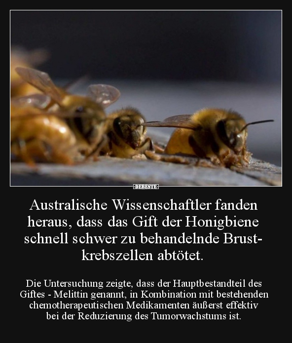 Australische Wissenschaftler fanden heraus, dass das Gift.. - Lustige Bilder | DEBESTE.de