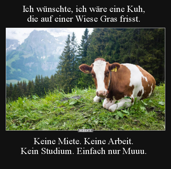 Ich wünschte, ich wäre eine Kuh, die auf einer Wiese Gras.. - Lustige Bilder | DEBESTE.de