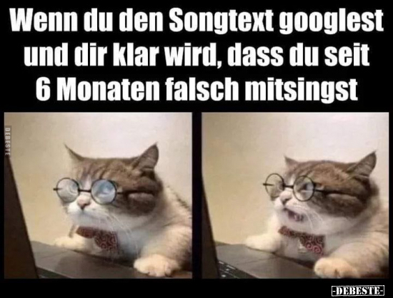 Wenn du den Songtext googlest und dir klar wird.. - Lustige Bilder | DEBESTE.de