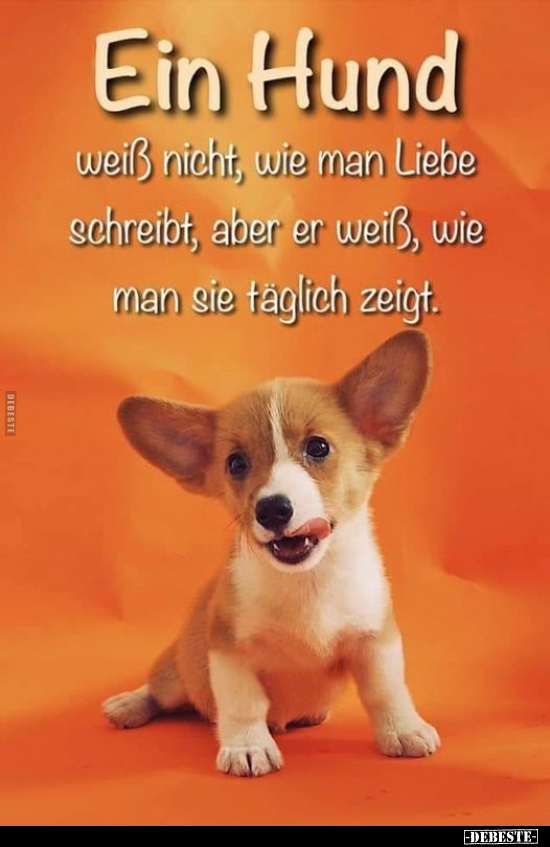 Ein Hund weiß nicht, wie man Liebe schreibt.. - Lustige Bilder | DEBESTE.de