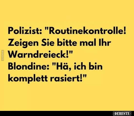 Polizist: "Routinekontrolle! Zeigen Sie bitte mal Ihr Warndreieck!".. - Lustige Bilder | DEBESTE.de