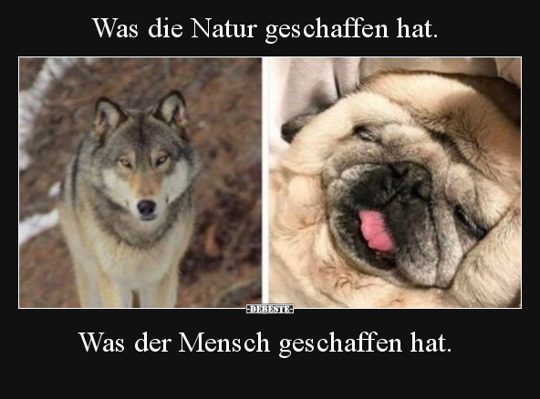 Was die Natur geschaffen hat... - Lustige Bilder | DEBESTE.de