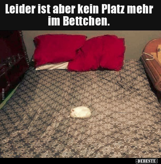 Leider ist aber kein Platz mehr im Bettchen... - Lustige Bilder | DEBESTE.de