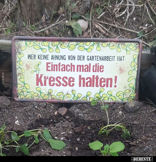 Wer keine Ahnung von der Gartenarbeit hat.. - Lustige Bilder | DEBESTE.de