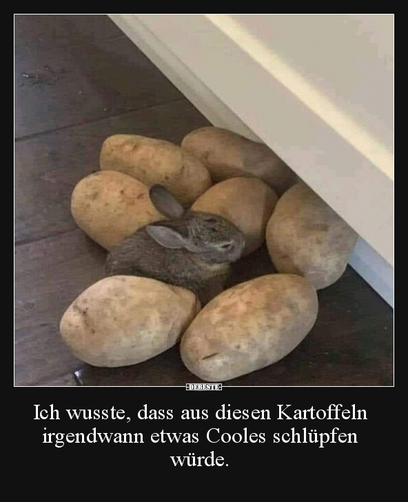 Ich wusste, dass aus diesen Kartoffeln irgendwann etwas.. - Lustige Bilder | DEBESTE.de