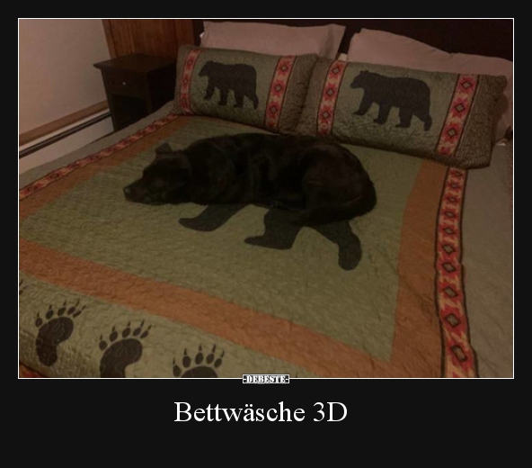Bettwäsche 3D.. - Lustige Bilder | DEBESTE.de