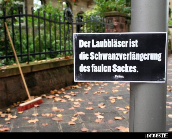 Der Laubbläser ist die Schwanzverlängerung des faulen Sackes.. - Lustige Bilder | DEBESTE.de