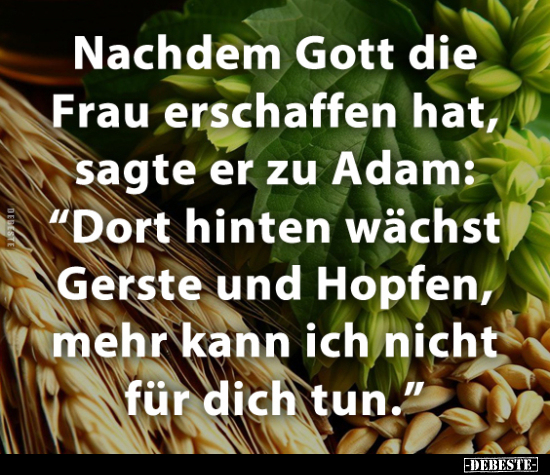 Nachdem Gott die Frau erschaffen hat, sagte er zu Adam...".." - Lustige Bilder | DEBESTE.de
